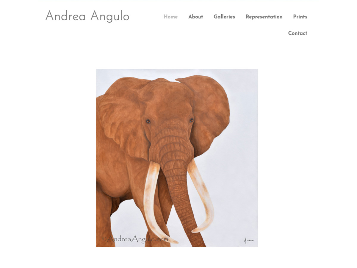 Andrea Angulo website preview