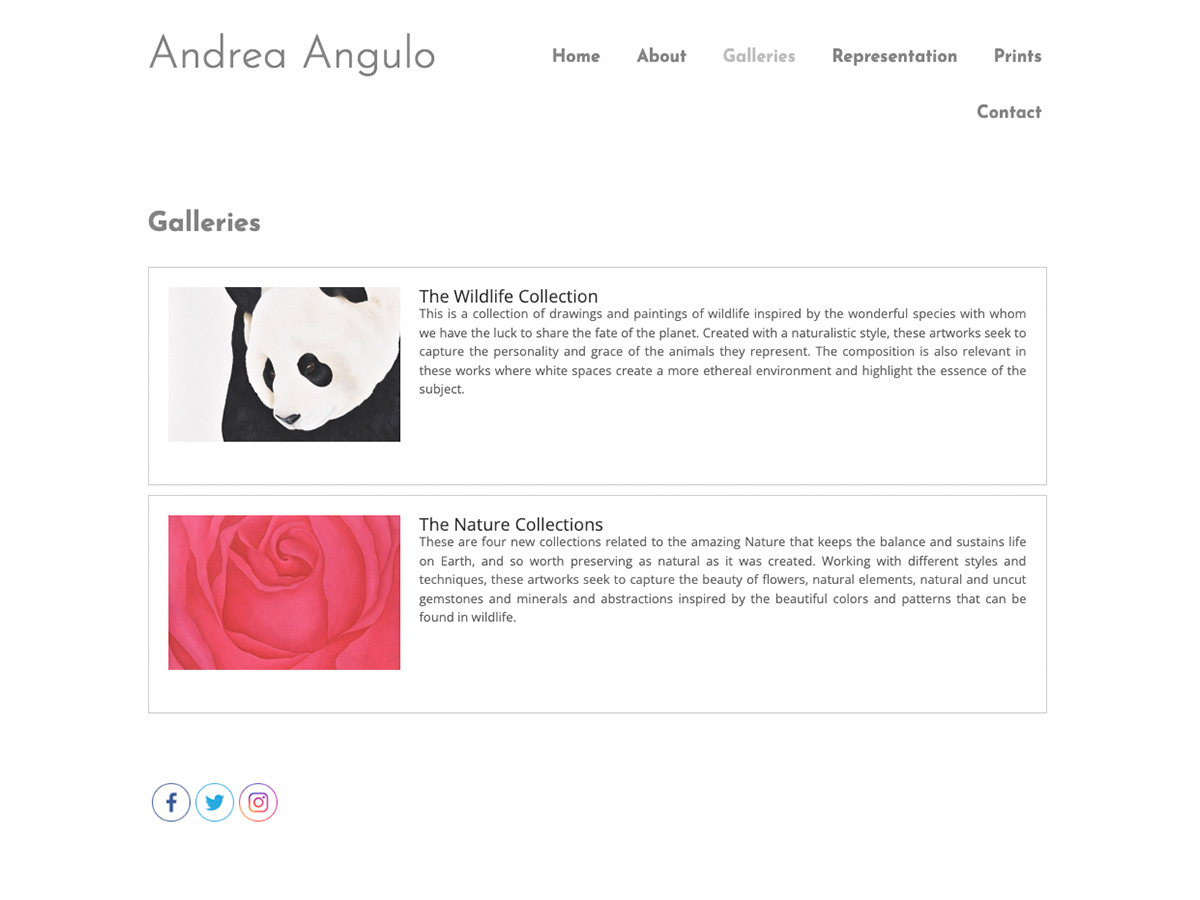 Andrea Angulo project image