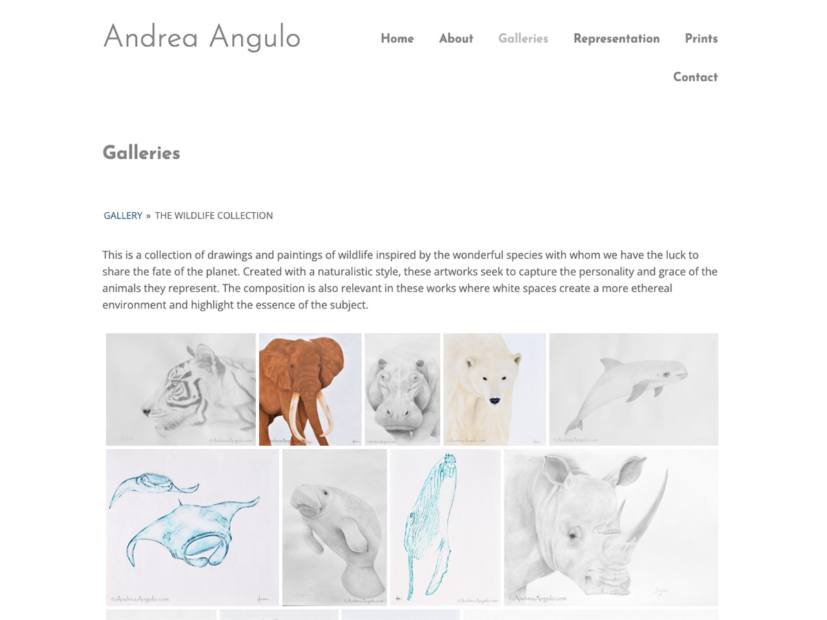 Andrea Angulo project image