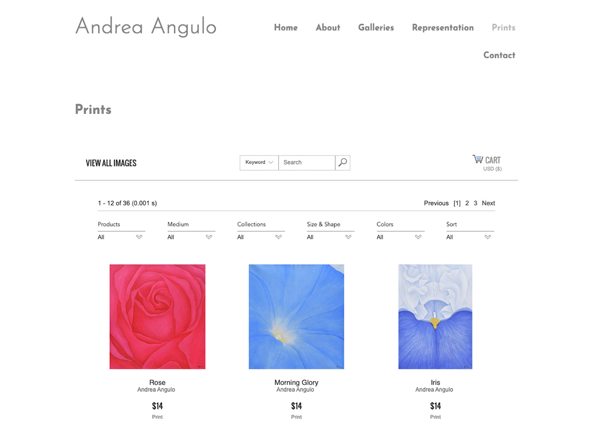 Andrea Angulo project image