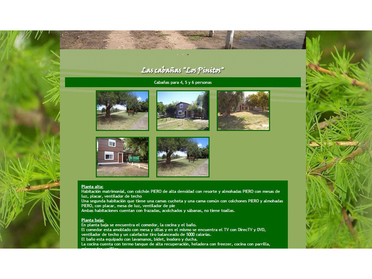 Los Pinitos project image