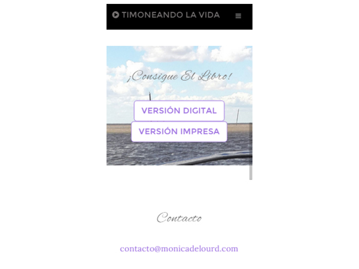 Monica Delourd project image