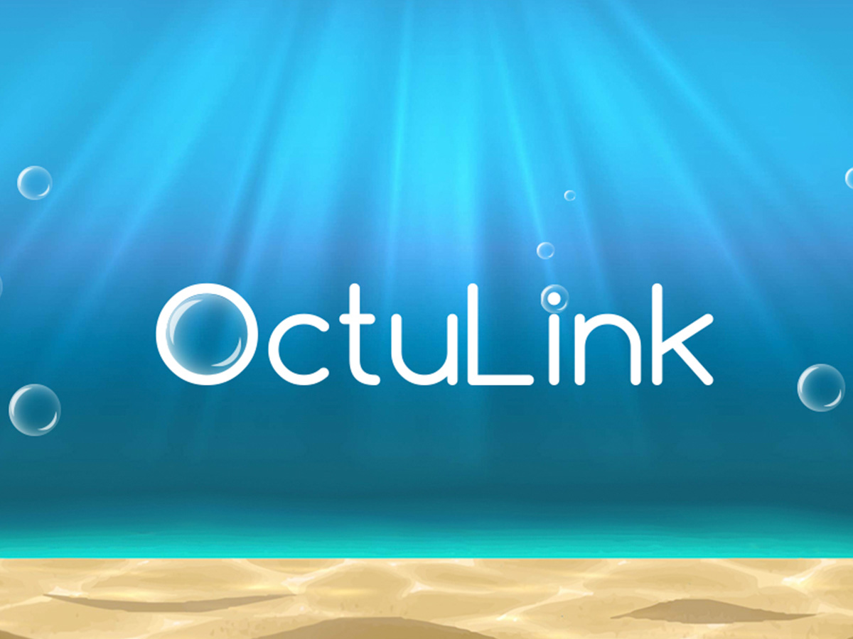 OctuLink branding preview