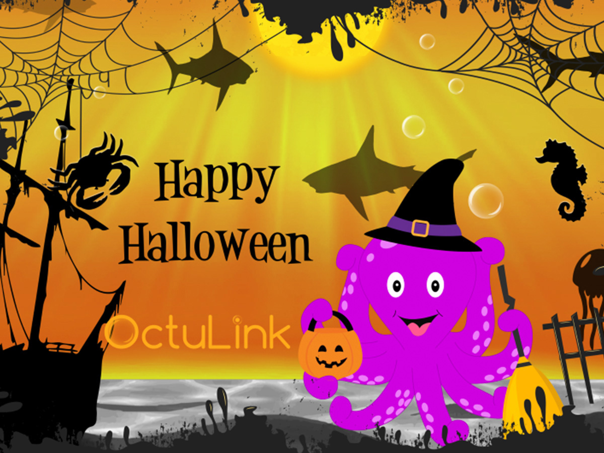 OctuLink project image