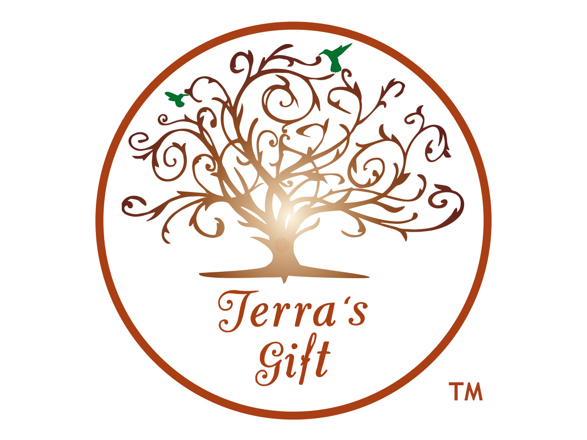 Terra's Gift branding and website preview