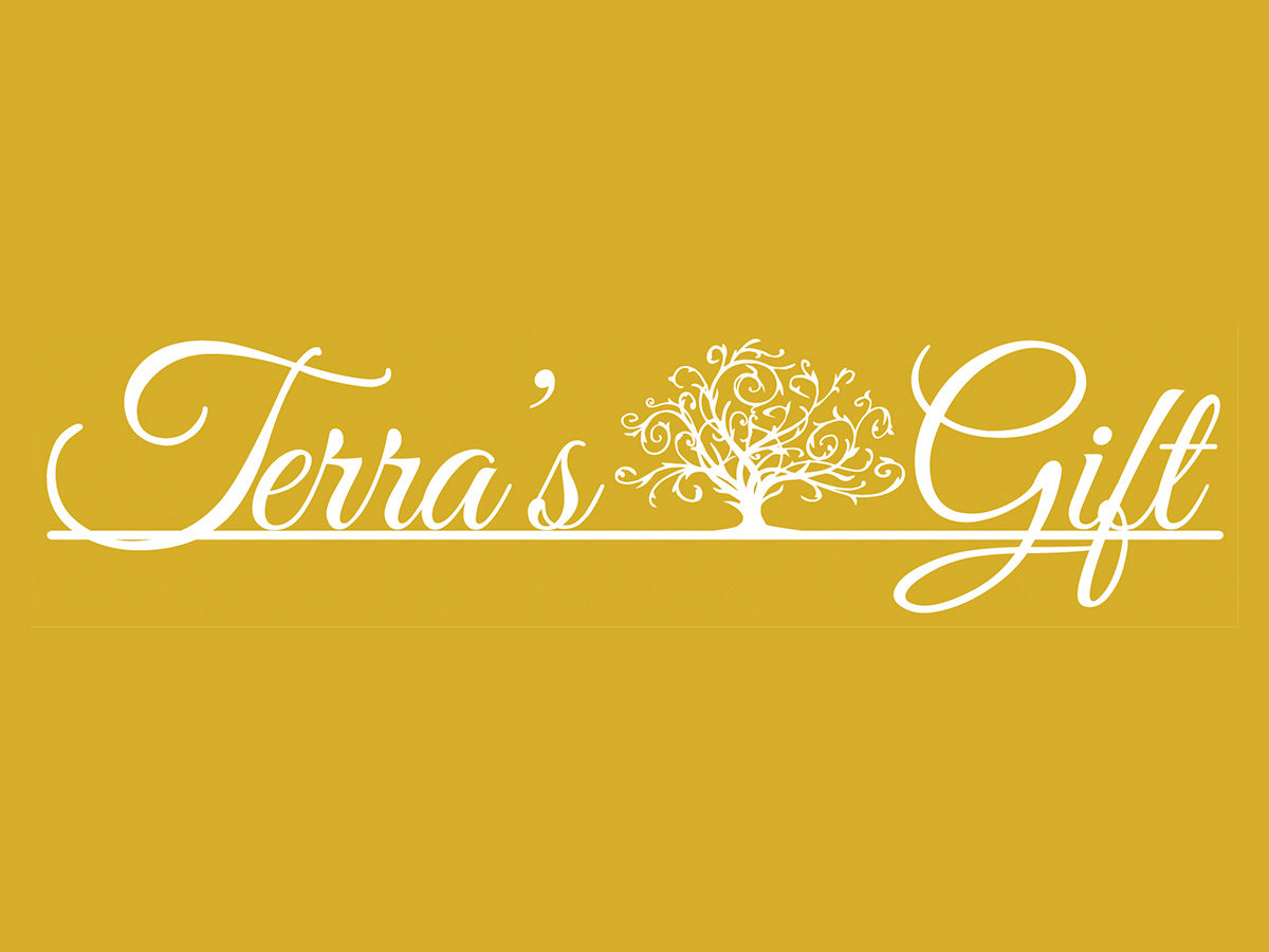 Terra's Gift project image